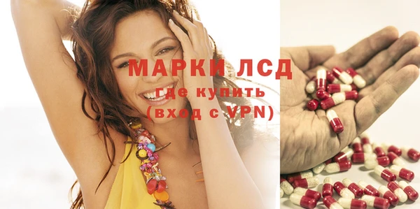 СК Магадан
