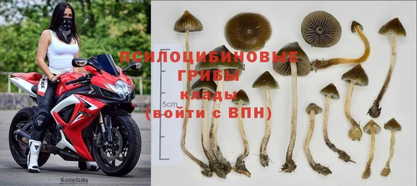 СК Магадан