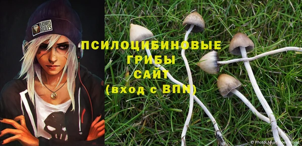 спайс Майский